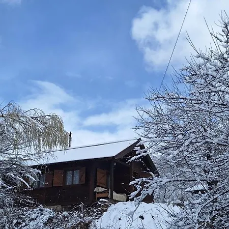 Holiday home Plaiul Bucovinei *